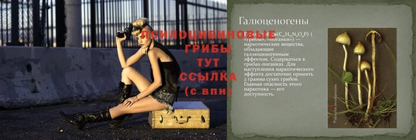 прущие крисы Соль-Илецк