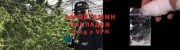 метадон Алексин