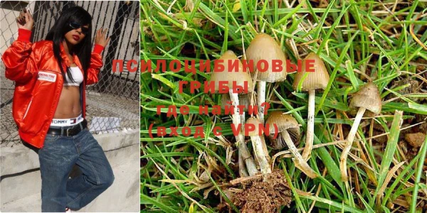 таблы Солнечногорск