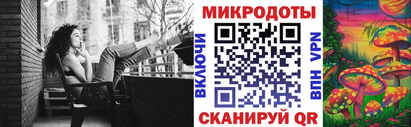 гидра ссылка  Казань  Псилоцибиновые грибы прущие грибы 