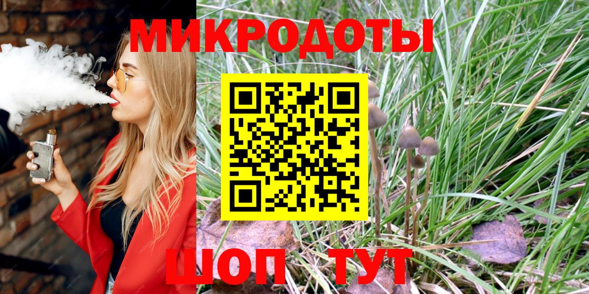 Псилоцибиновые грибы Cubensis Казань